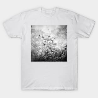 magnolia flowers T-Shirt